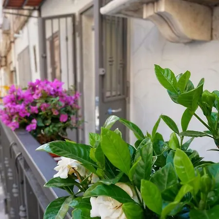 Apartment Casetta Bebbe *